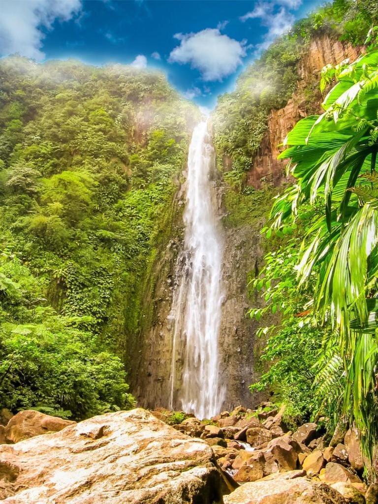 River Paradise Goyave Extérieur photo
