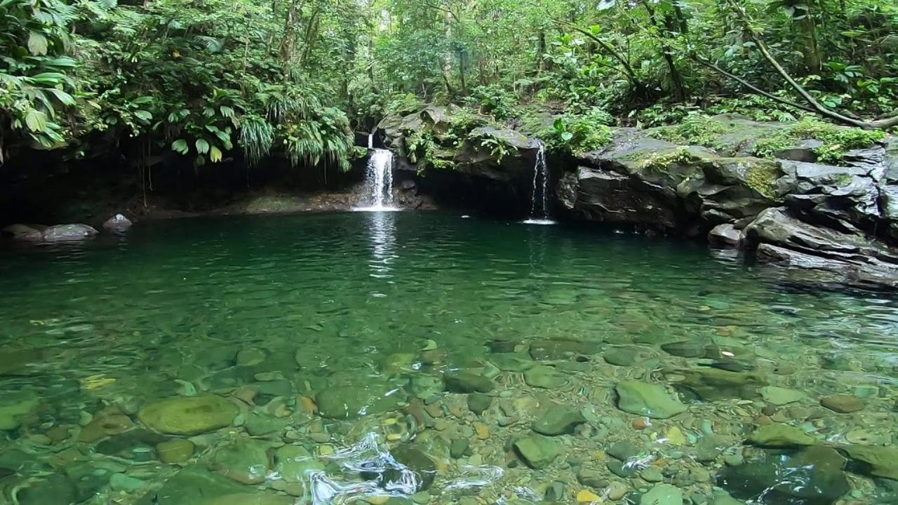 River Paradise Goyave Extérieur photo