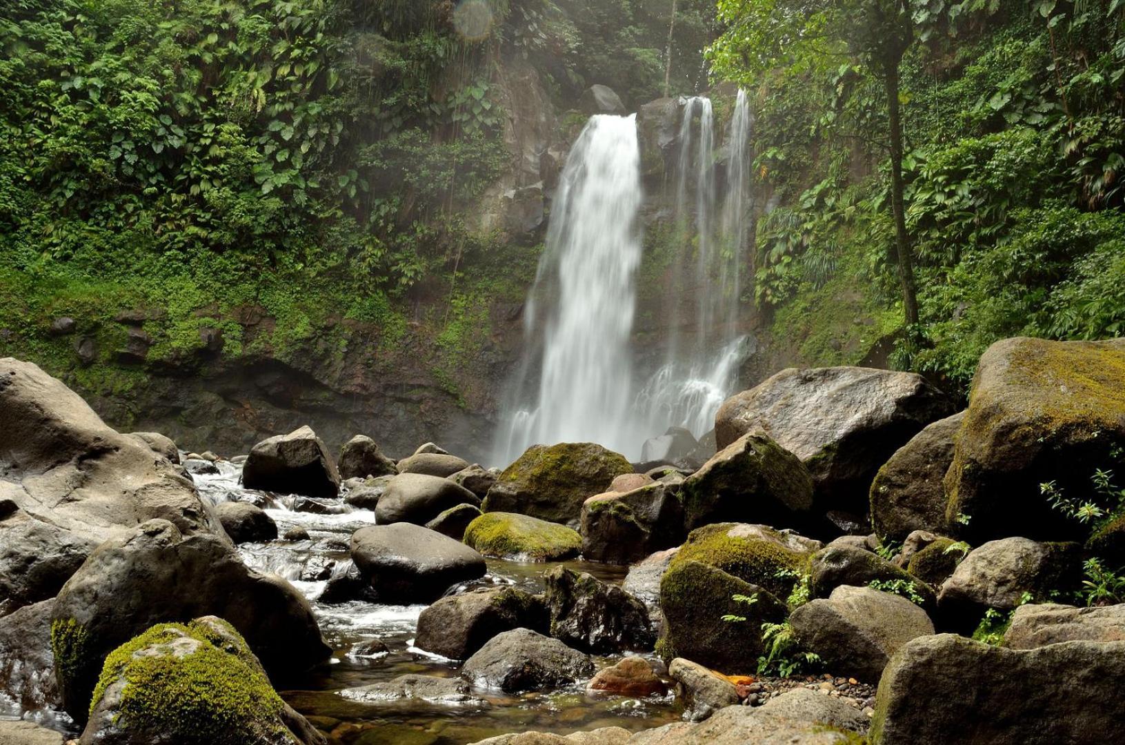 River Paradise Goyave Extérieur photo